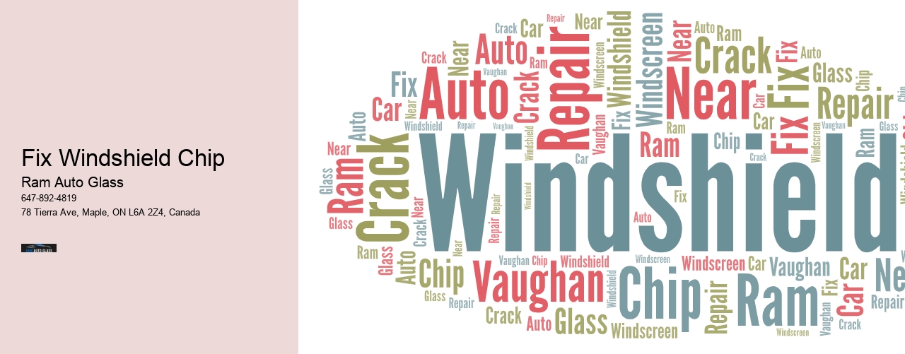 Fix Windshield Chip